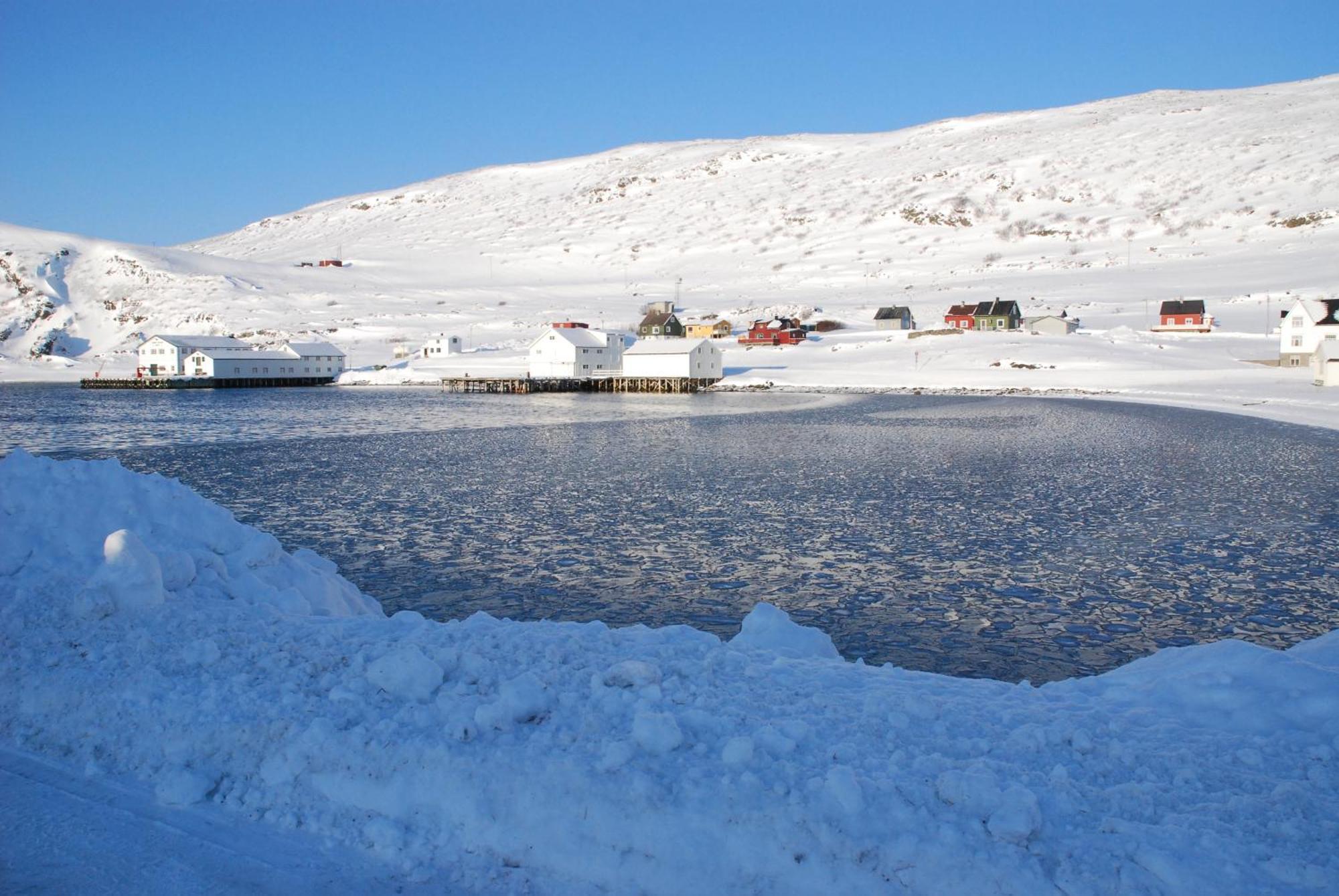 Kongsfjord Holiday Home المظهر الخارجي الصورة