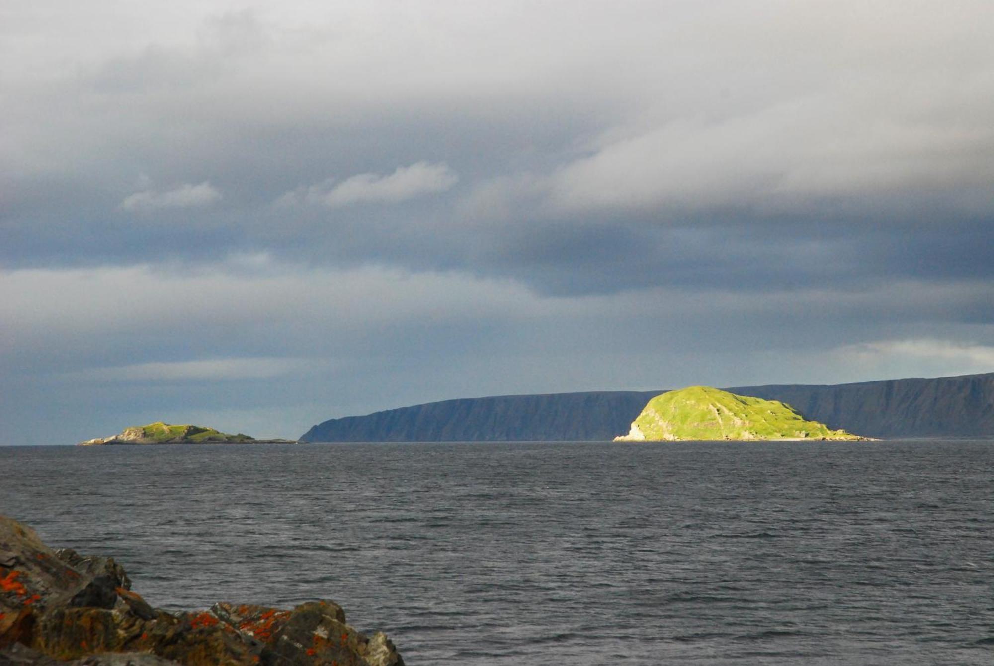Kongsfjord Holiday Home المظهر الخارجي الصورة