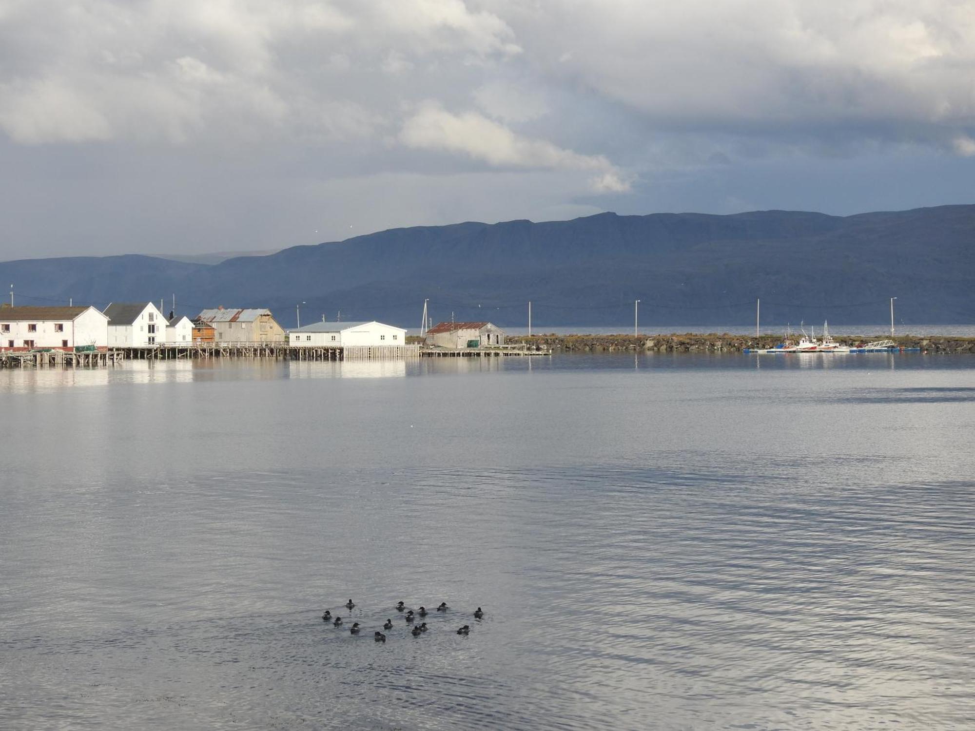 Kongsfjord Holiday Home المظهر الخارجي الصورة