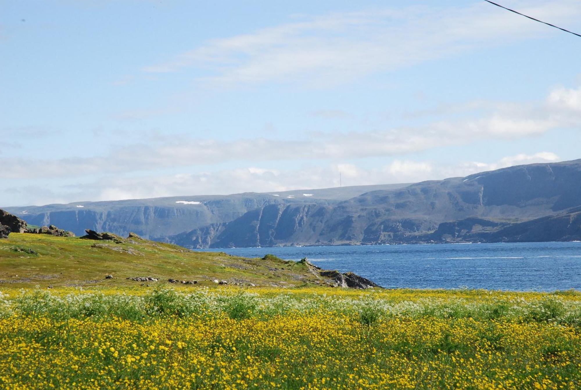 Kongsfjord Holiday Home المظهر الخارجي الصورة